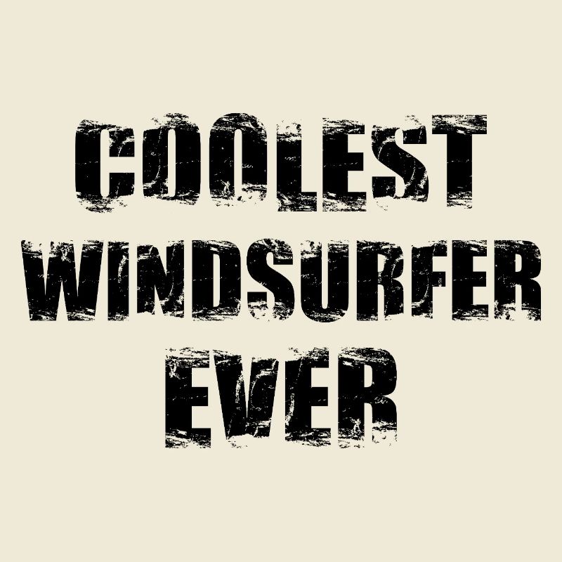 Coolest windsurfer ever