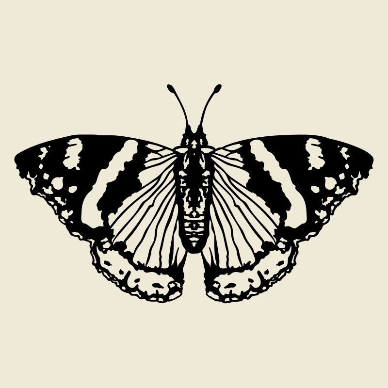 Papillon papillon