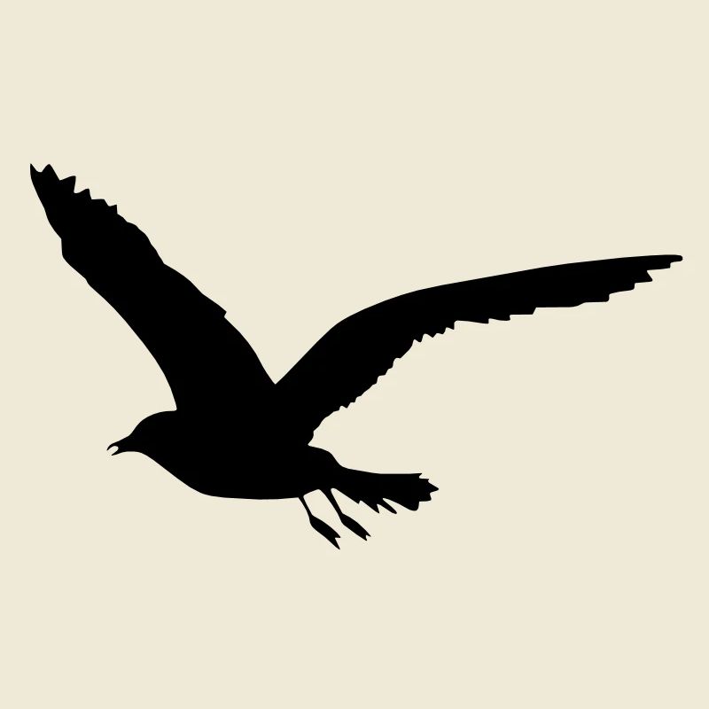 seagull
