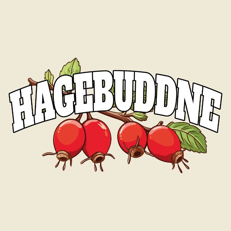 Hagebuddne - Diction de jeu de mots sur le mème