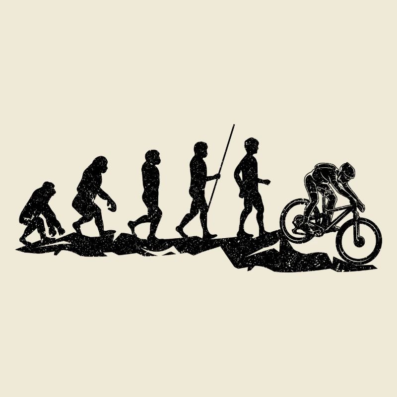 Vélo de montagne Evolution