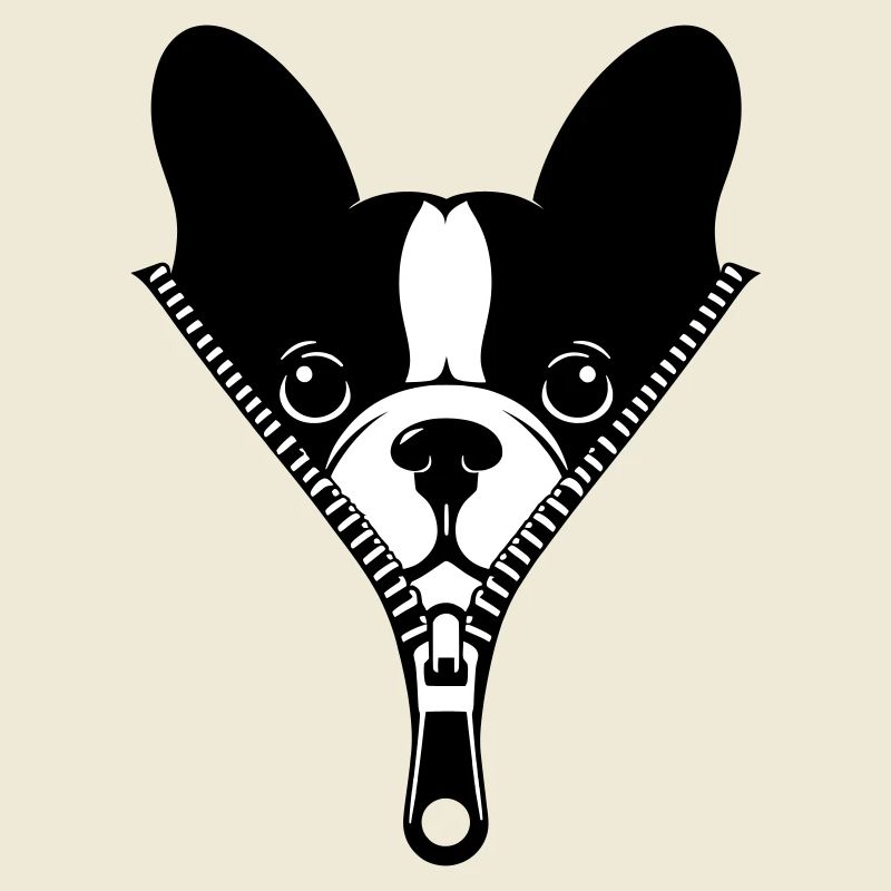 Bouledogue Français dans une fermeture éclair