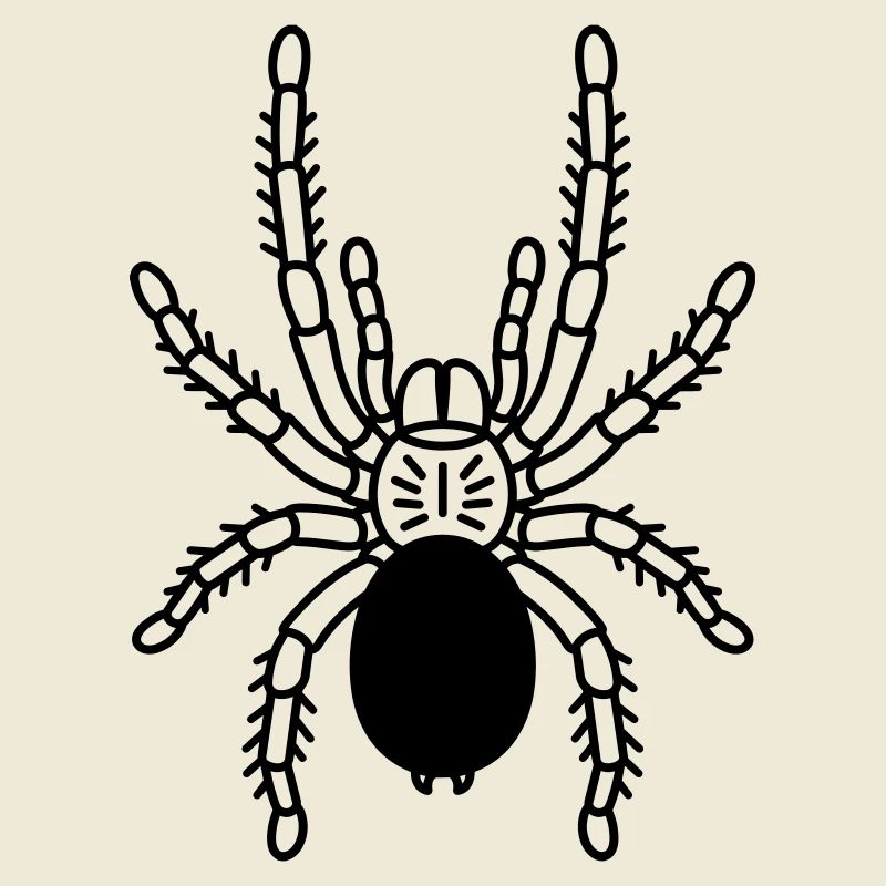tarantula tarantula