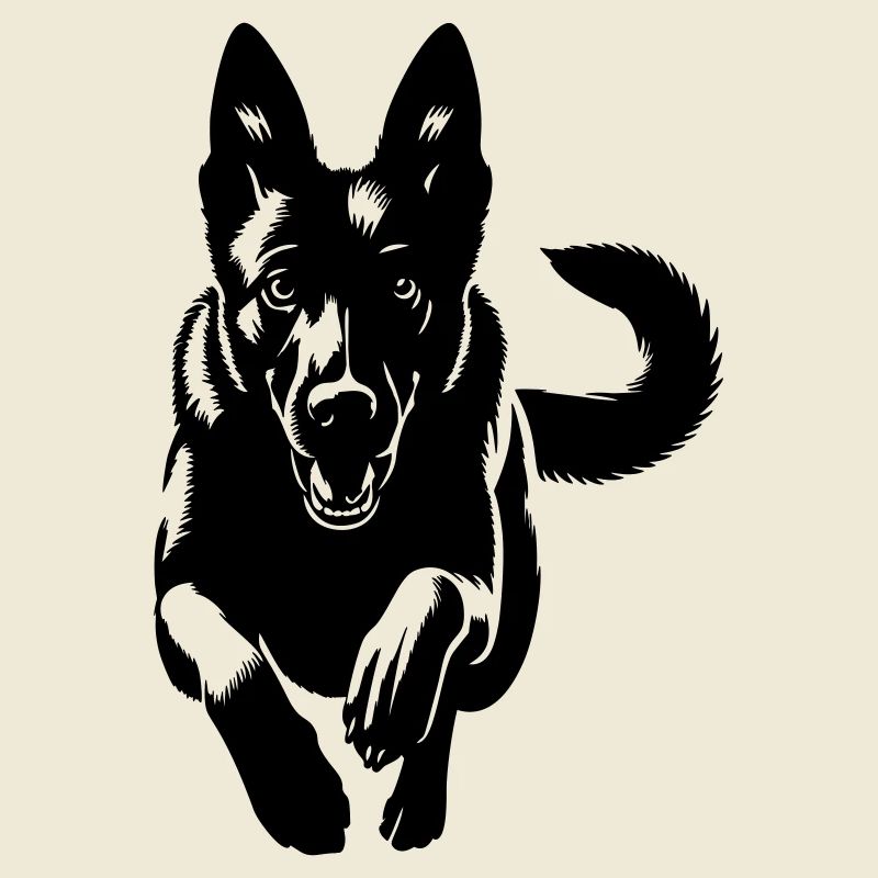 Malinois