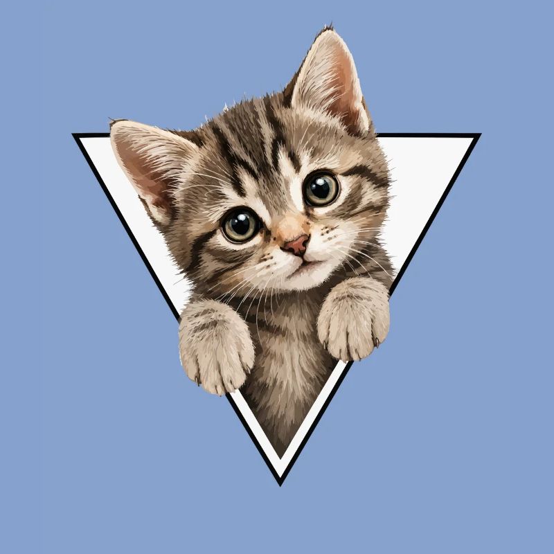 Chaton dans le triangle