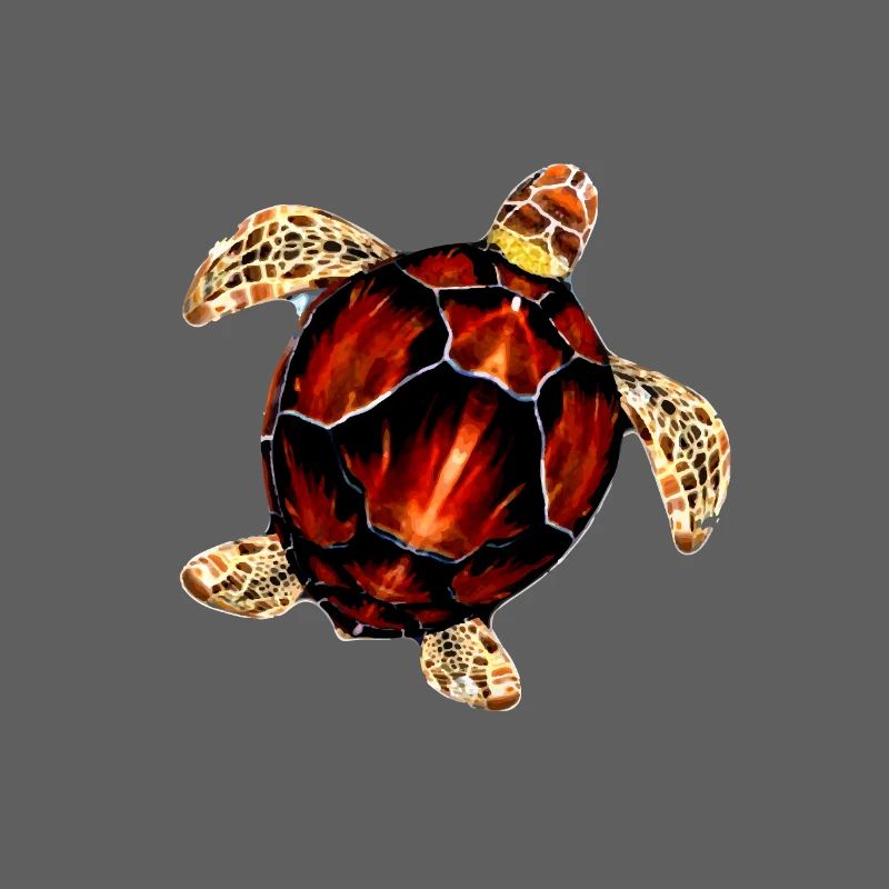 Pattern sea turtle illustration
