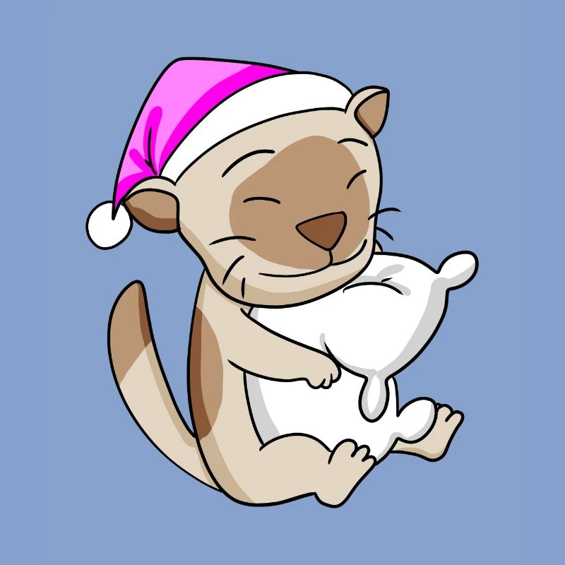 Chat Cat Race Chat Birman