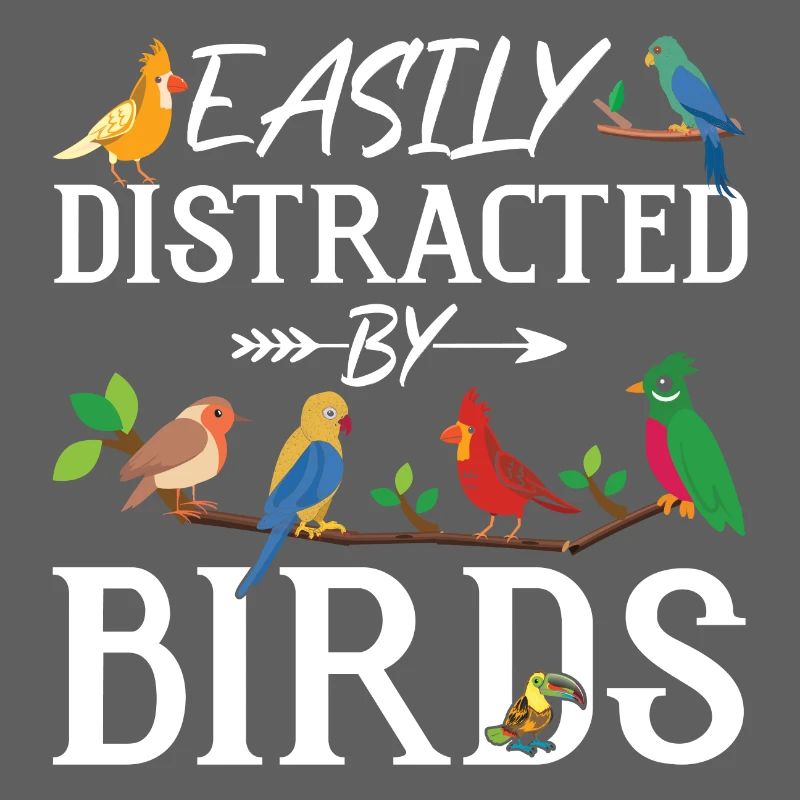 Facilement distrait par les oiseaux
