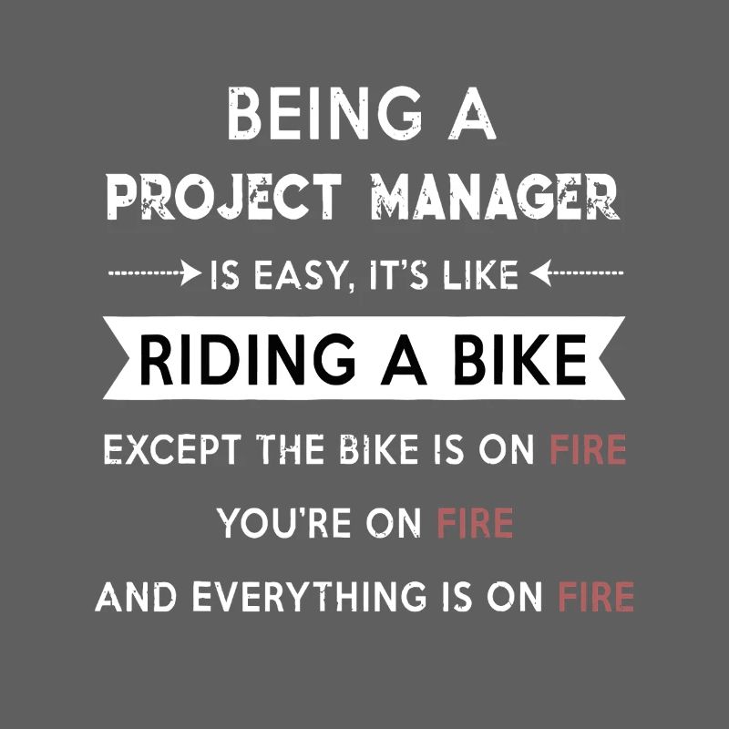 Project Manager on Fire