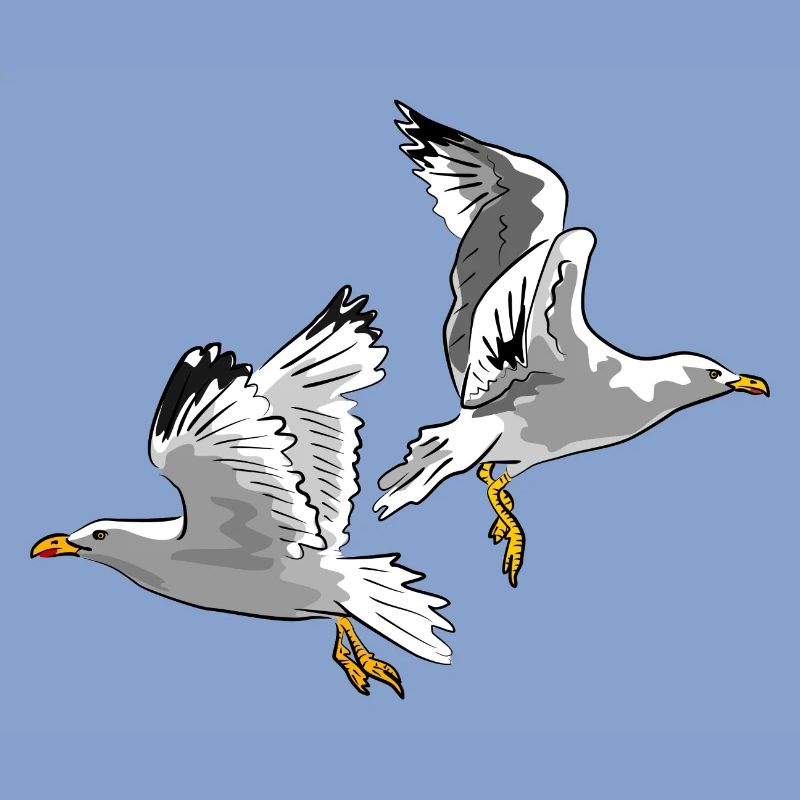 moewe vogel urlaub