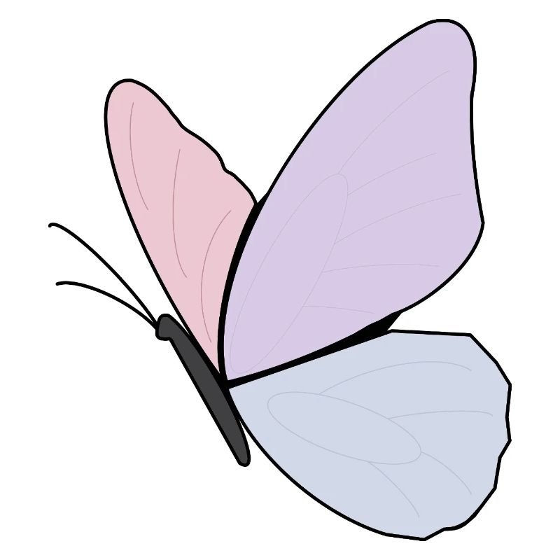 Conception de papillon pastel