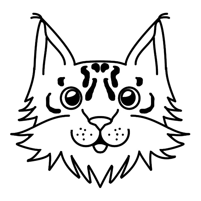 Lynx