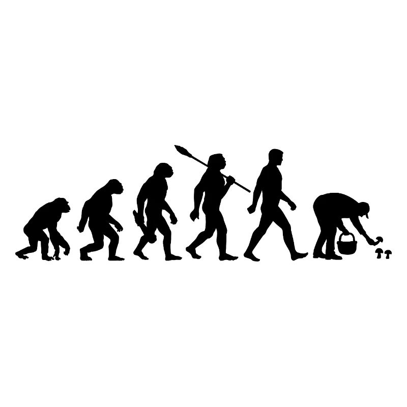 Evolution Cueilleurs de champignons, Cueillette de champignons