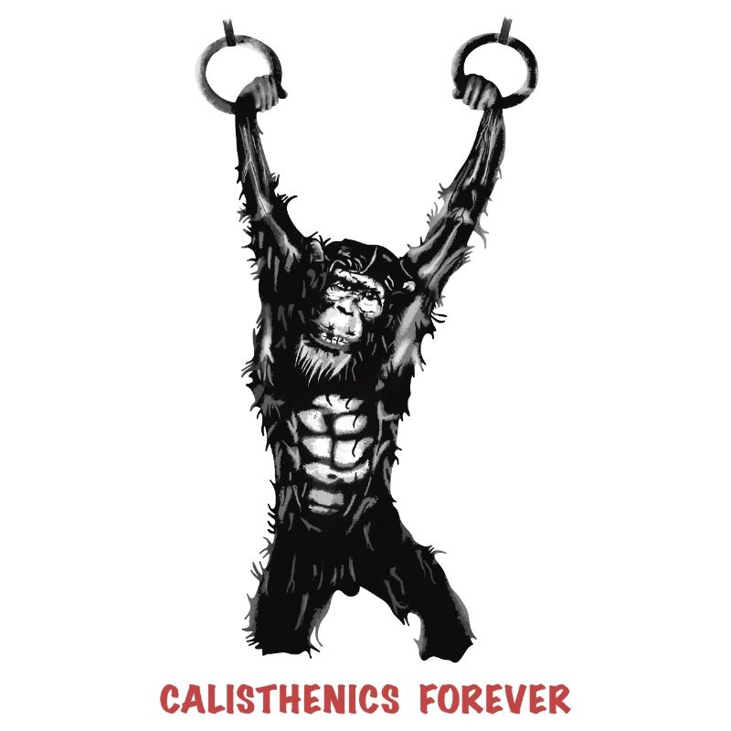 Calisthenics Evolution - Gymnastics Rings