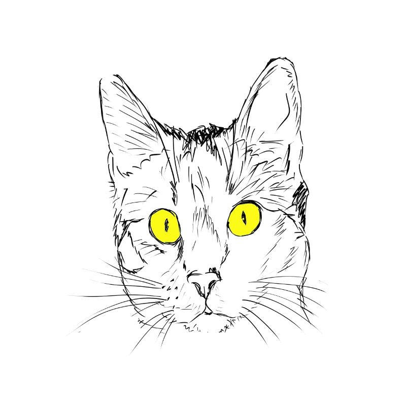 Chat, gueule de bois, amant de chat, tête de chat, oeil de chat