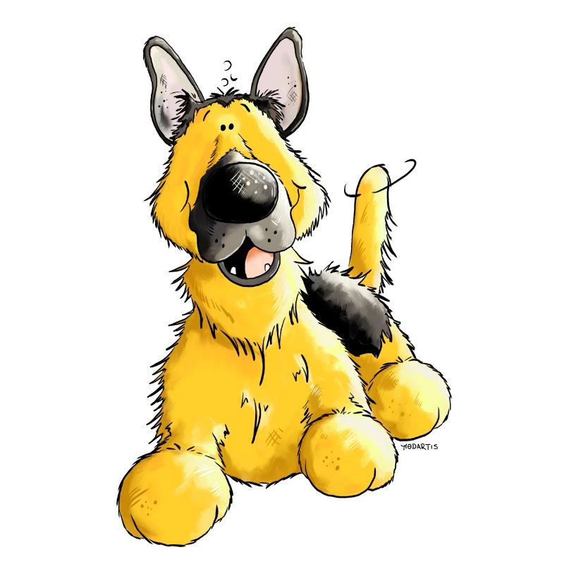 Deutscher Schäferhund - DSH - Hund