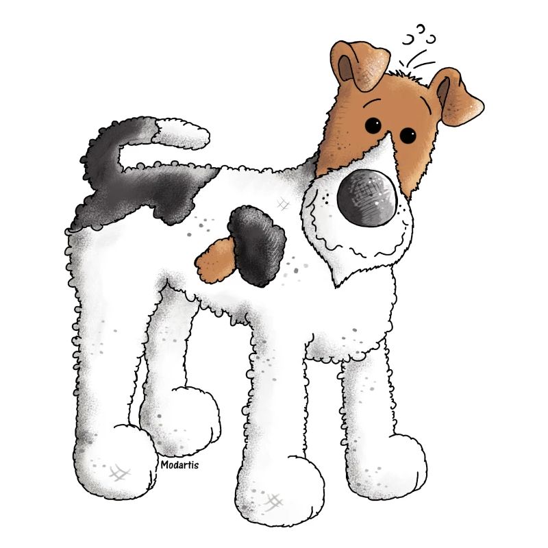 Foxterrier - Fox Terrier - Hund
