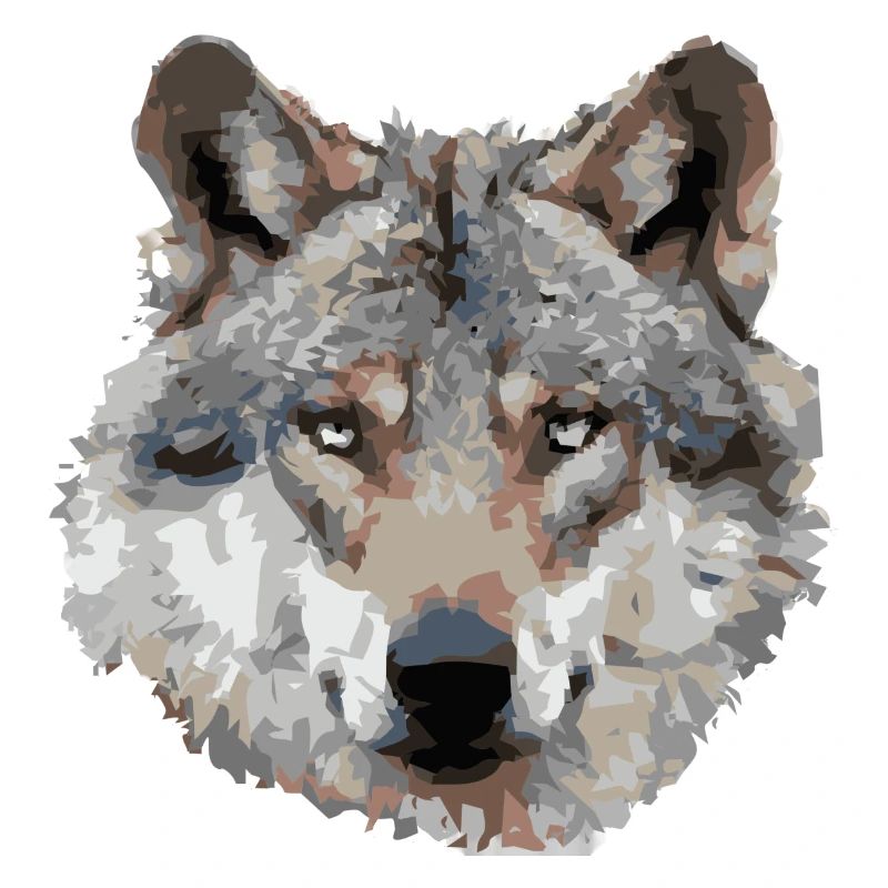 Wolf (grau)