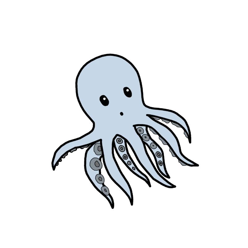 octopus
