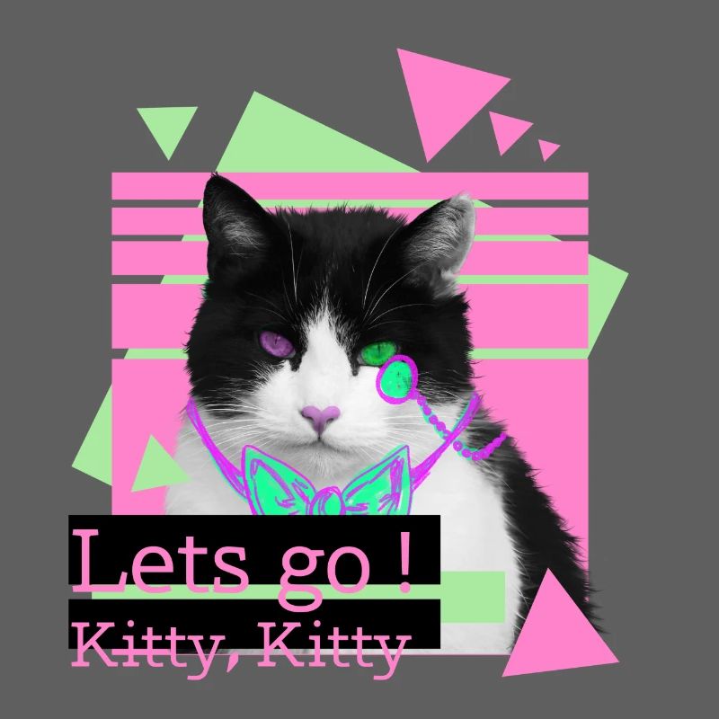 Lets go kitty, kitty