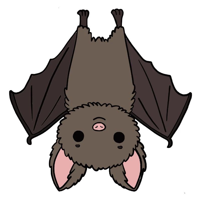 Fledermaus