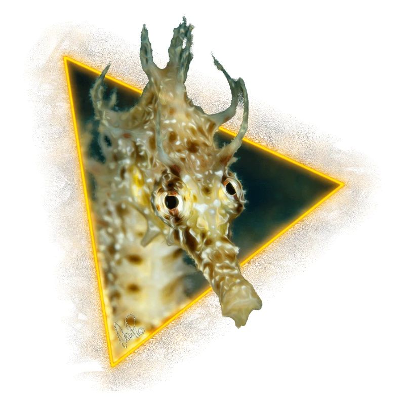 Hippocampe dans un triangle