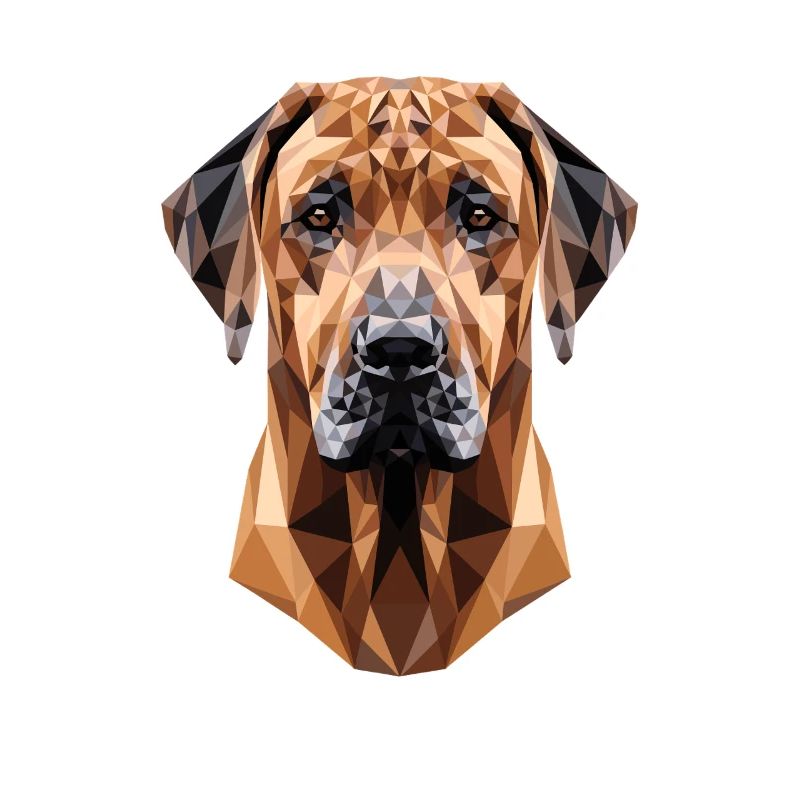 Chiens de chasse Rhodesian Ridgeback Pride Ridgeback
