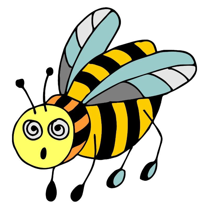 insect