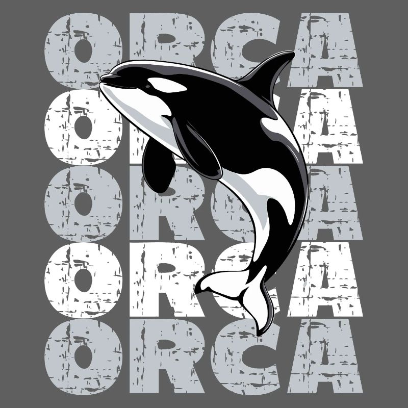  Orca Killerwal Ocean Meer Meeresleben Orca