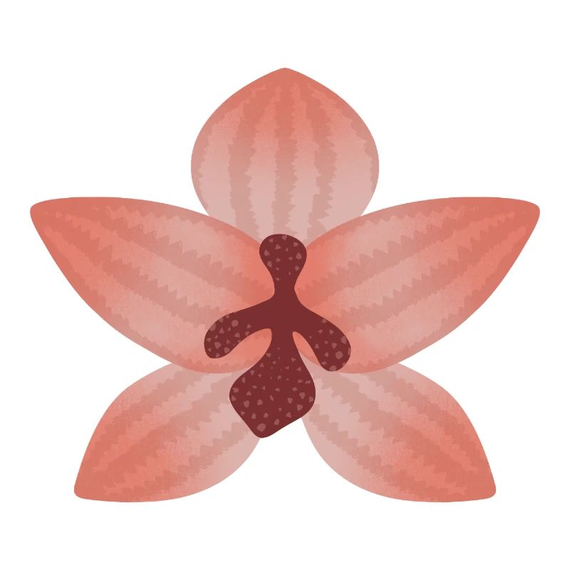 Fleur d’orchidée pastel