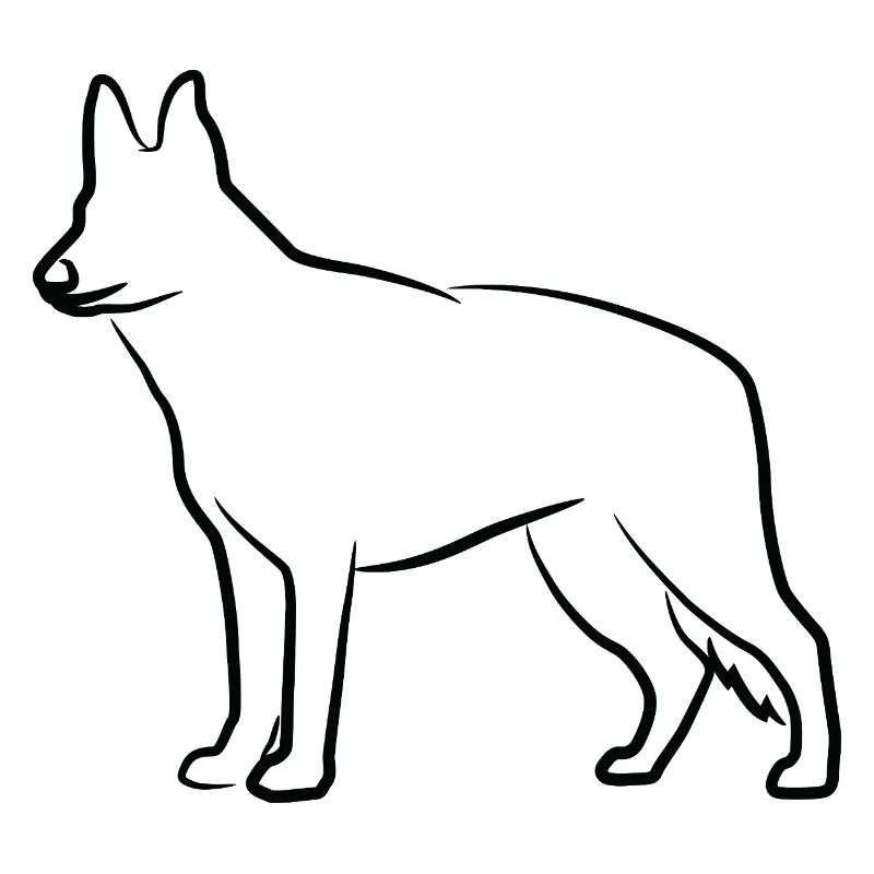 German Shepherd Sketch