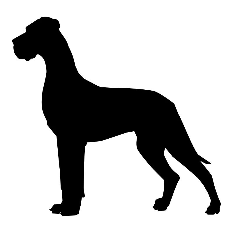 Dogue allemand