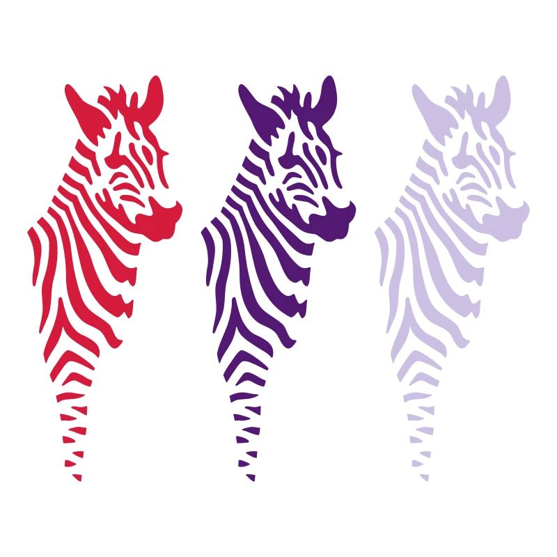 three zebras (b)