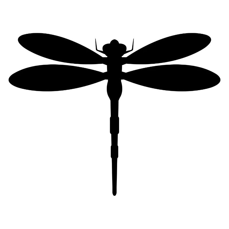 Libellule