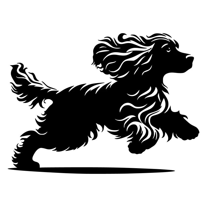 Cocker Spaniel