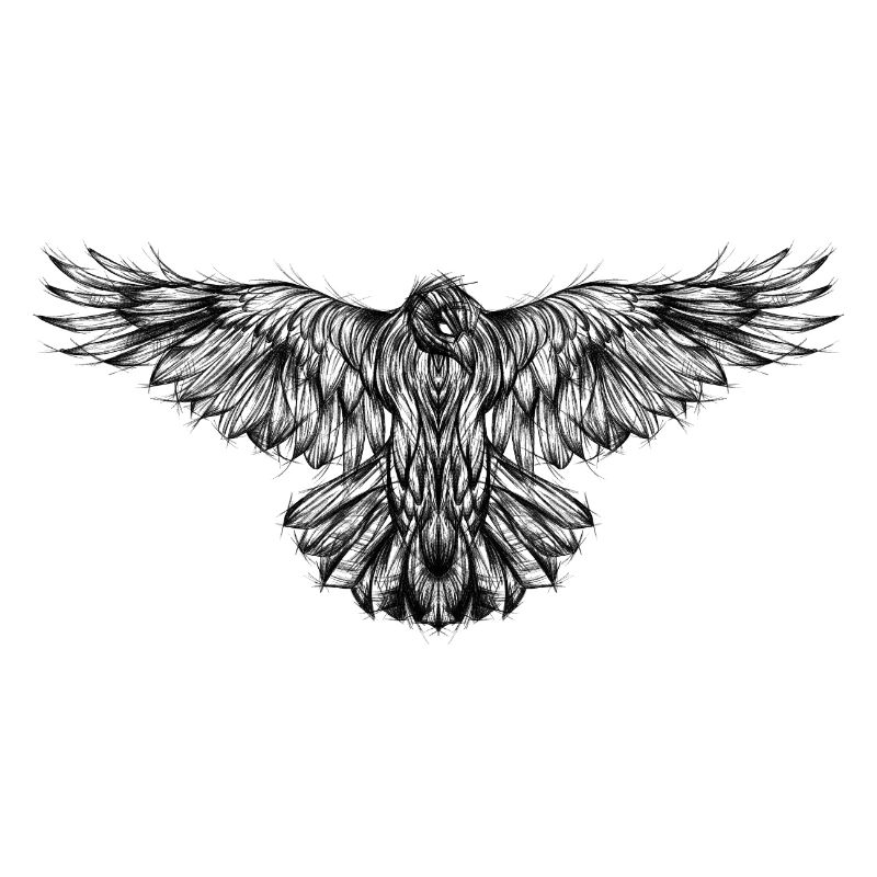 Graphic raven drawing sketch type