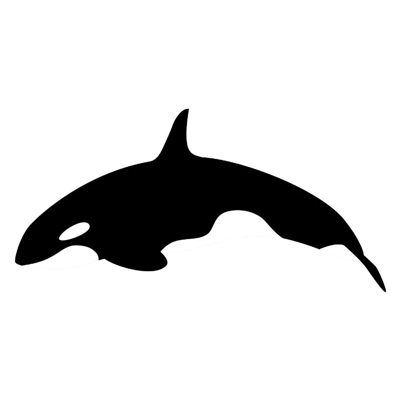 Orca Wal springender Orca Wal von der Seite