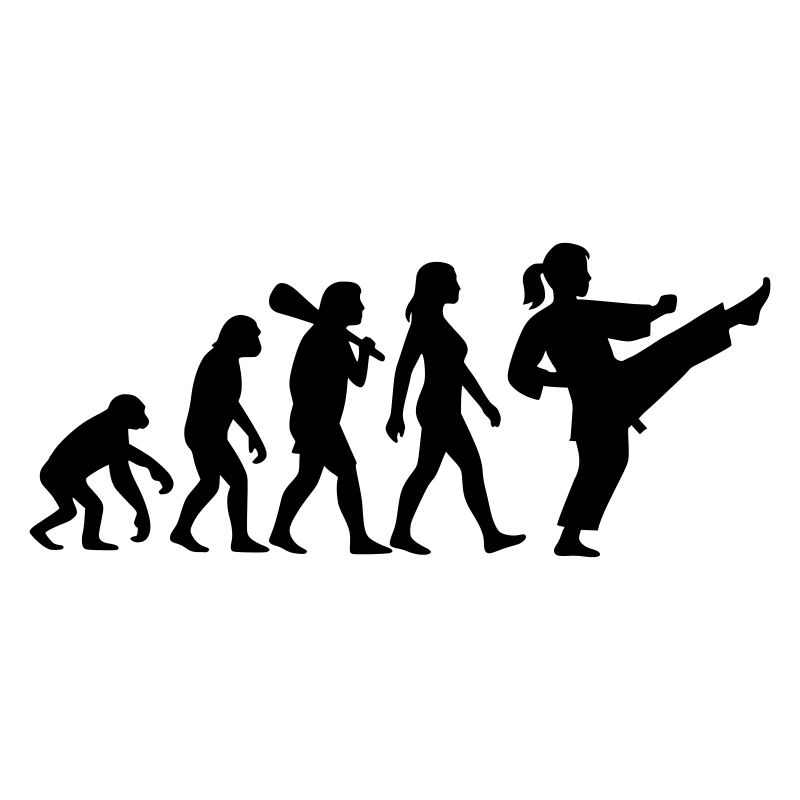 Karate Evolution