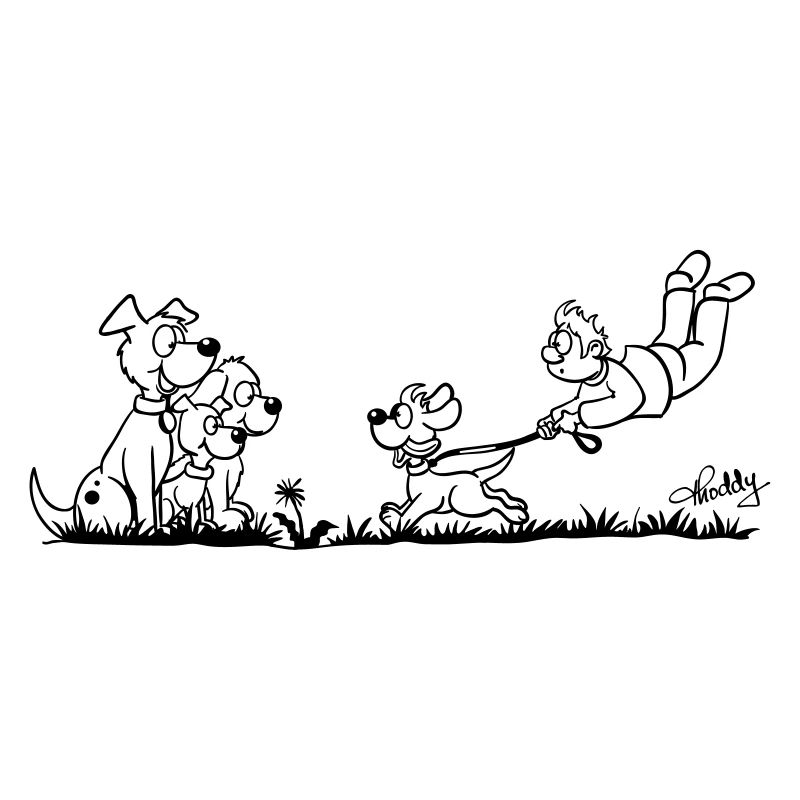 Walking The Dog