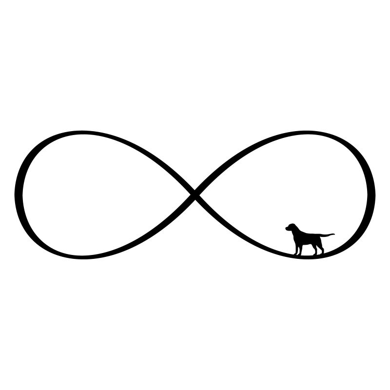 Dog Infinite Love - Conception du chien