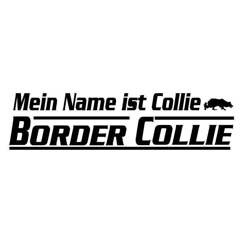 My name is Border Collie
