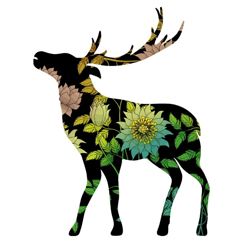 Deer