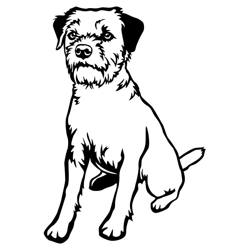 Border Terrier