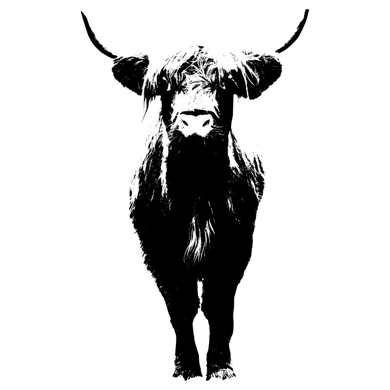 Scottish Highland Cattle Cow Beef