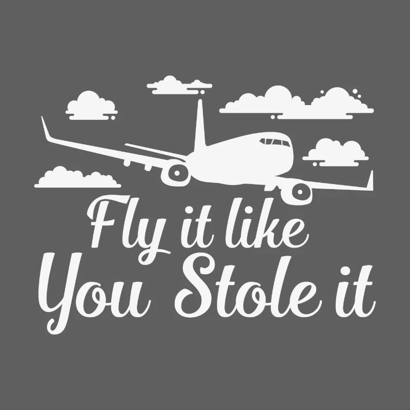 Fly It Like You Stole It Funny Pilot