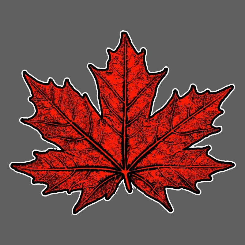 Maple / Leaf