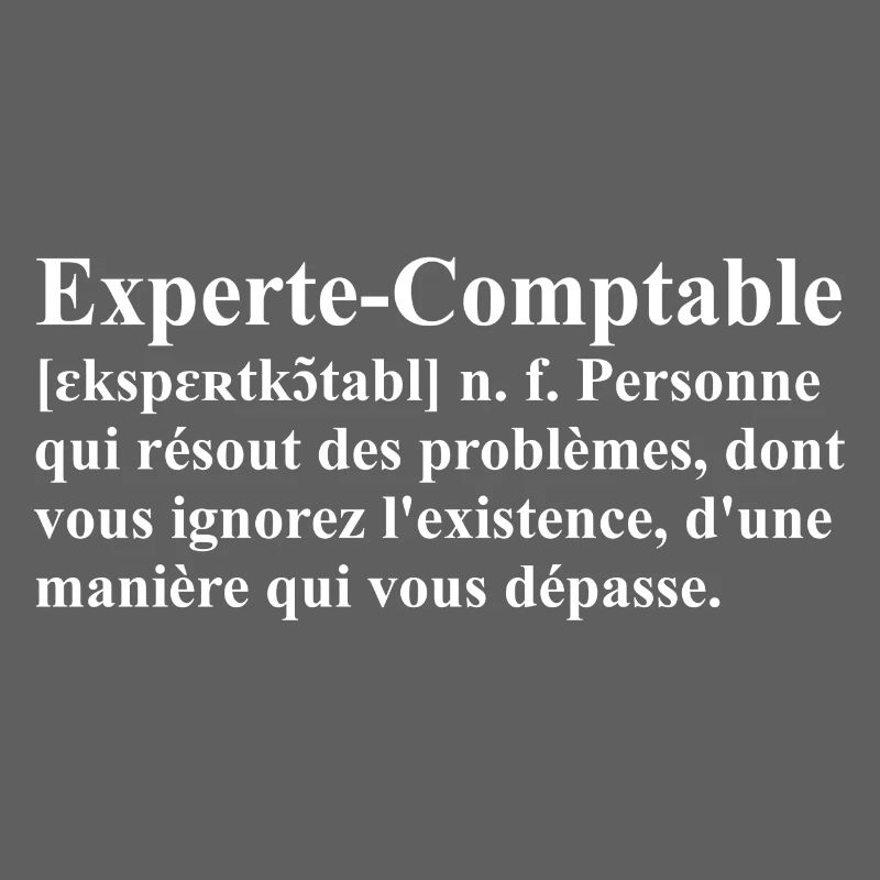 Experte-Comptable Définition