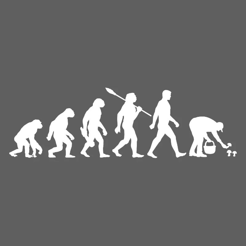 Evolution Mushroom Pickers, Mushroom Picking