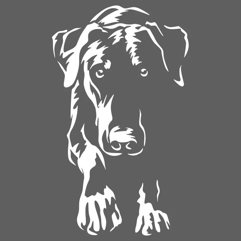 Dobermann "Black Edition"