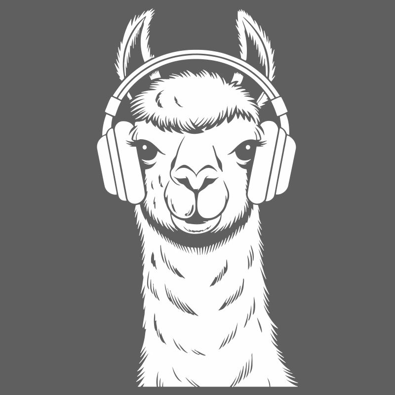 Lama cool avec casque